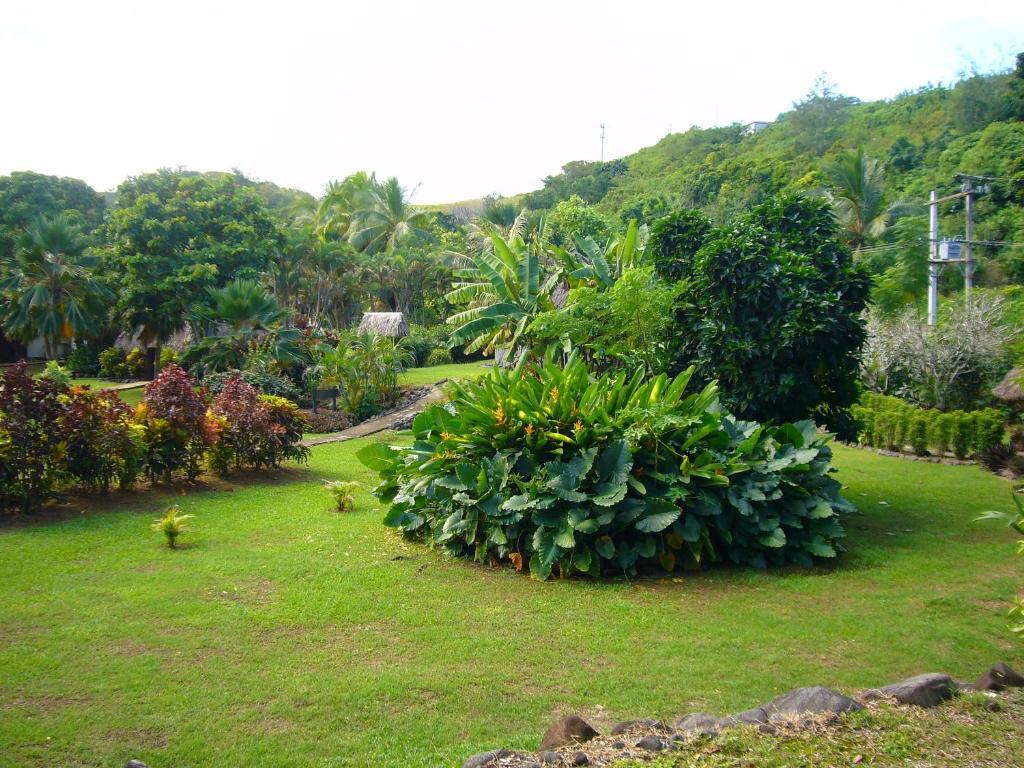 Gecko'S Resort Sigatoka Zewnętrze zdjęcie