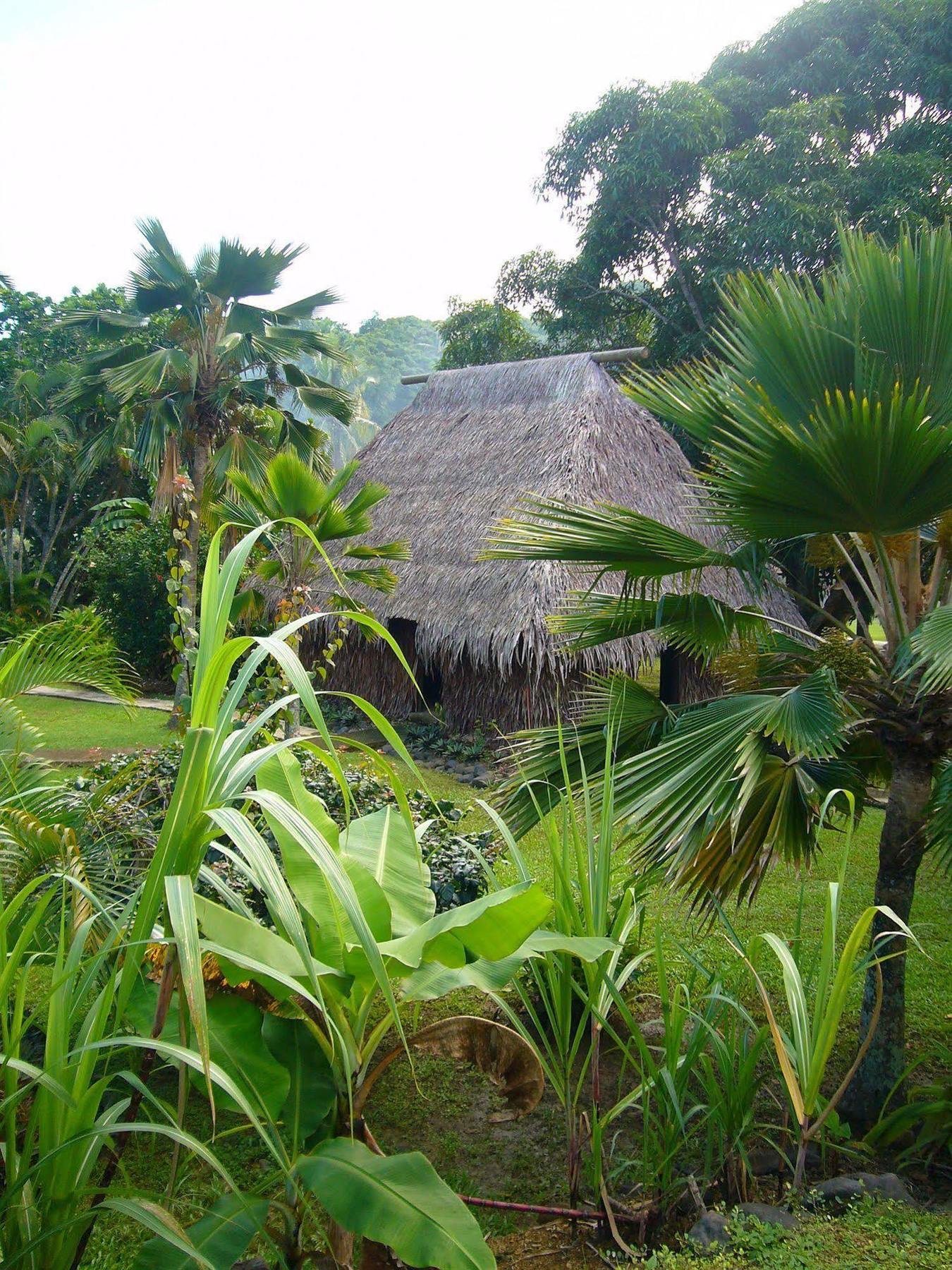 Gecko'S Resort Sigatoka Zewnętrze zdjęcie